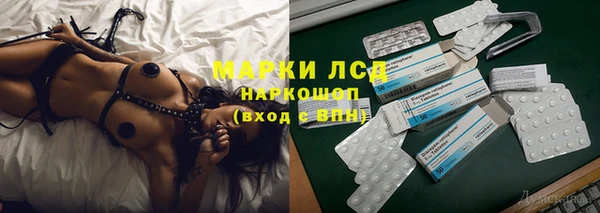 PSILOCYBIN Грязовец
