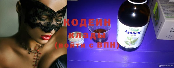 спиды Губаха