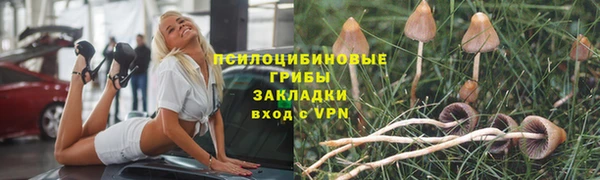 кристаллы Нягань