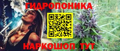 амф Гусев