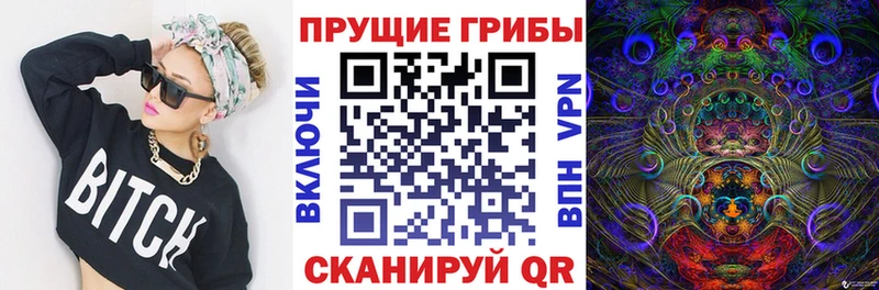 продажа наркотиков  Зерноград  Псилоцибиновые грибы Psilocybine cubensis 