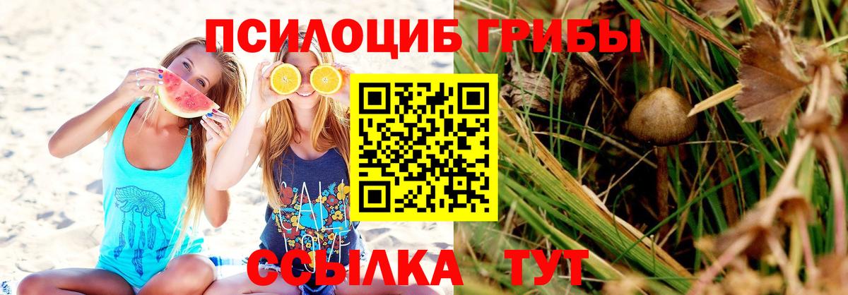 Псилоцибиновые грибы MAGIC MUSHROOMS Зерноград