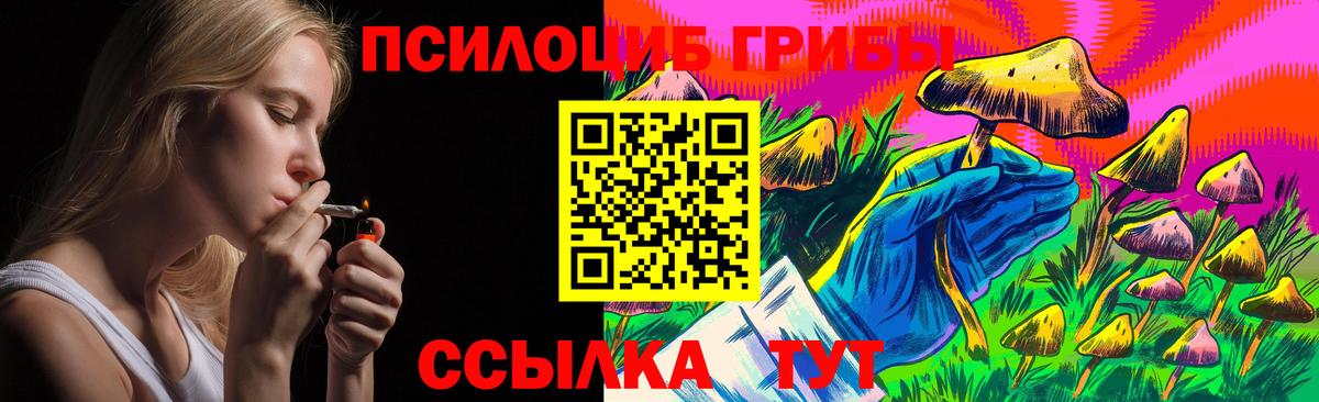 Псилоцибиновые грибы Psilocybe Зерноград