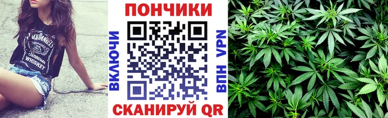сайты даркнета какой сайт  Зерноград  МАРИХУАНА план  где купить  