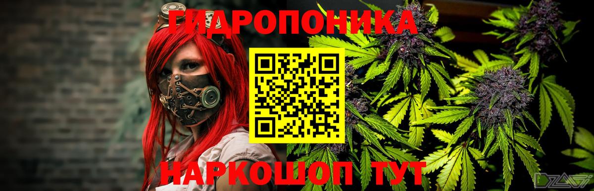 Конопля SATIVA & INDICA  Зерноград  Шишки марихуана индика  Бошки марихуана гибрид 